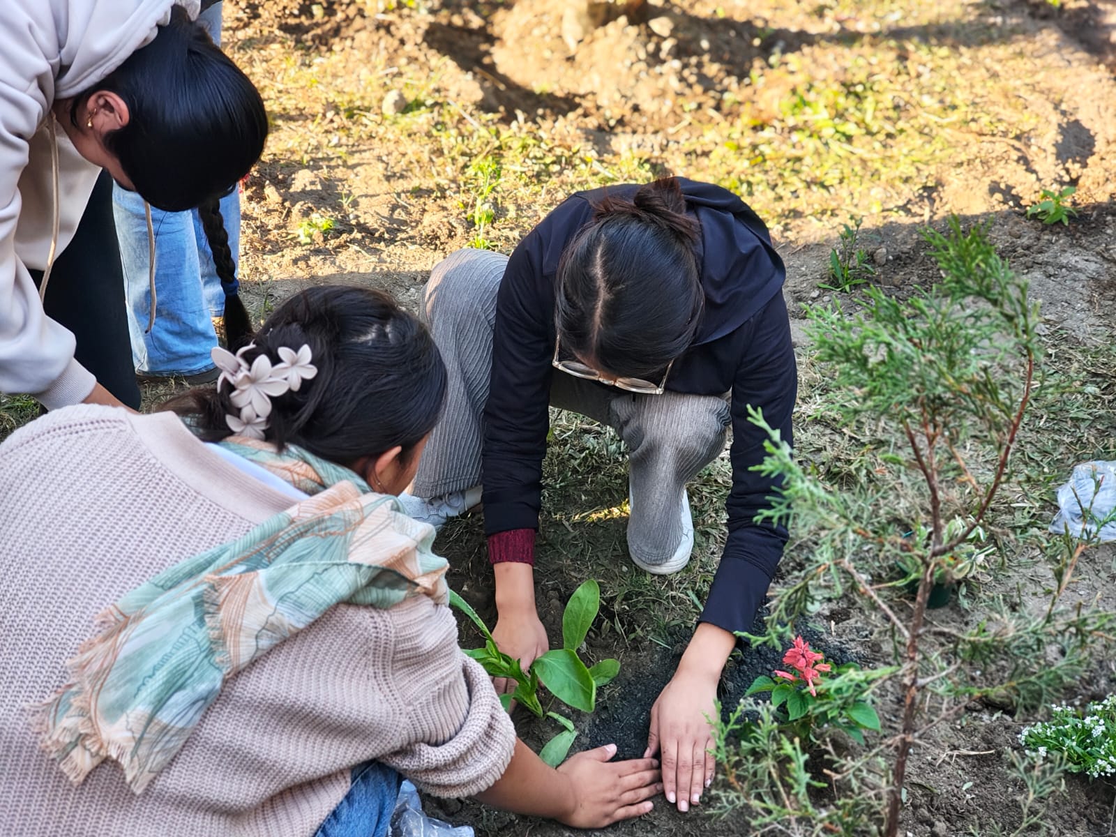 School Activity